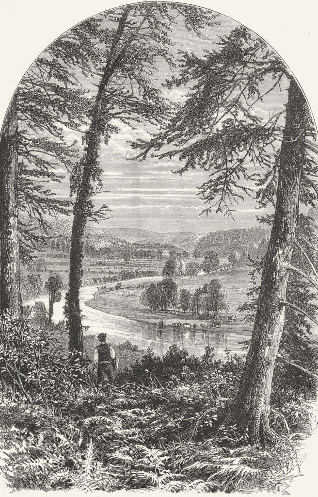 IRELAND. Vale of Avoca 1888 old antique vintage print picture